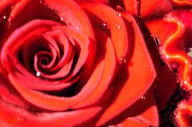 San Valentino